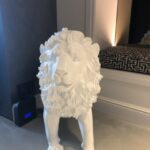 esthetics-solutions-mephis-depay-014