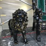 esthetics-solutions-mephis-depay-017